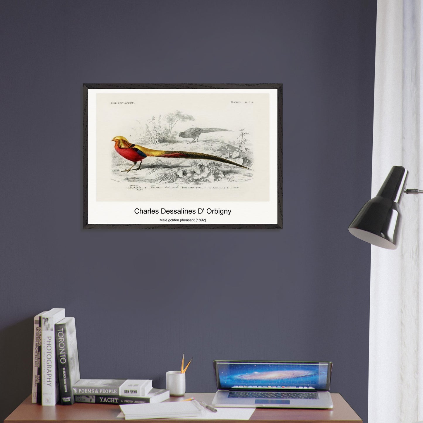 d5feba1e-ef2f-4e04-b546-fee6336cce72