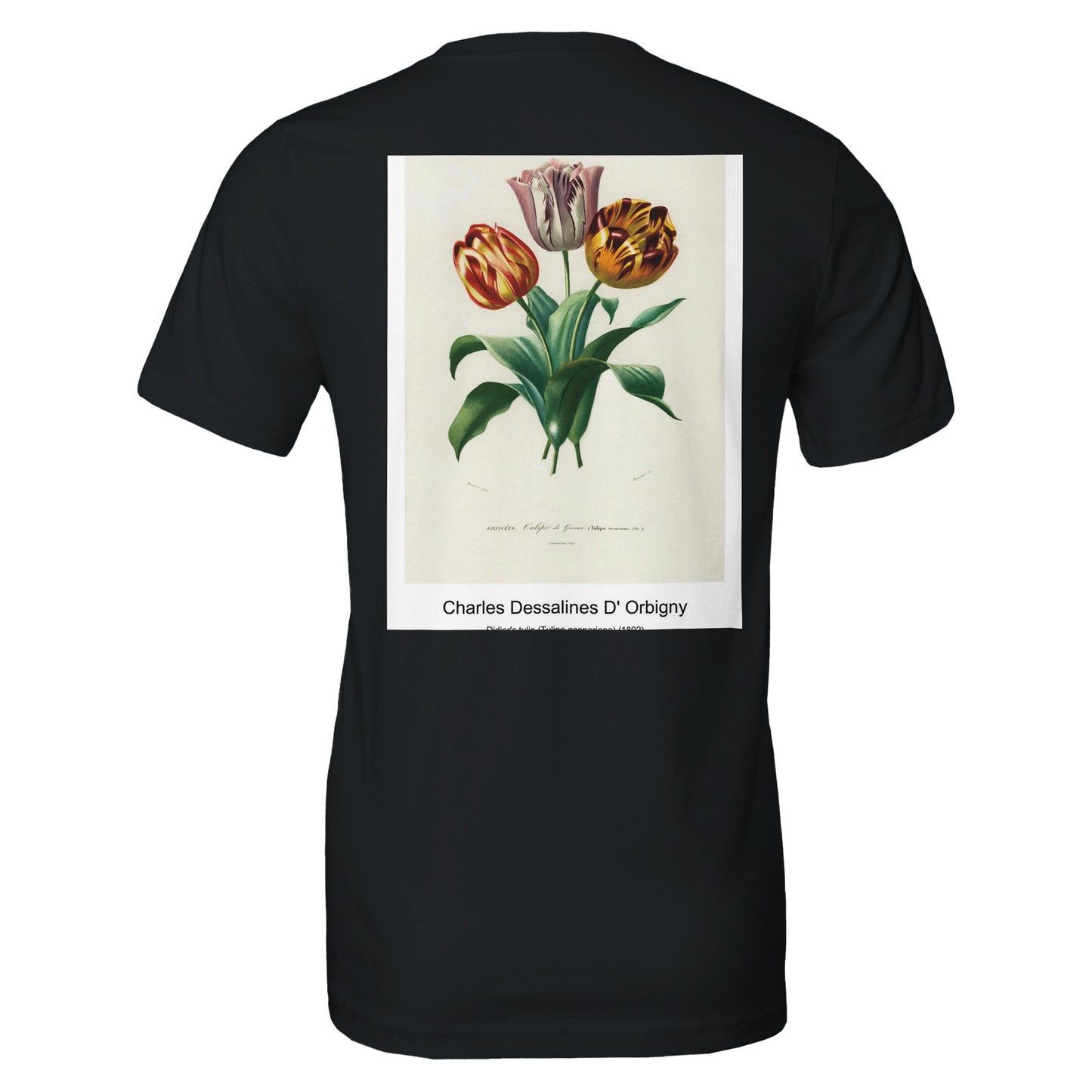 d63f852a-b438-4d8c-8ce3-3379967eb217