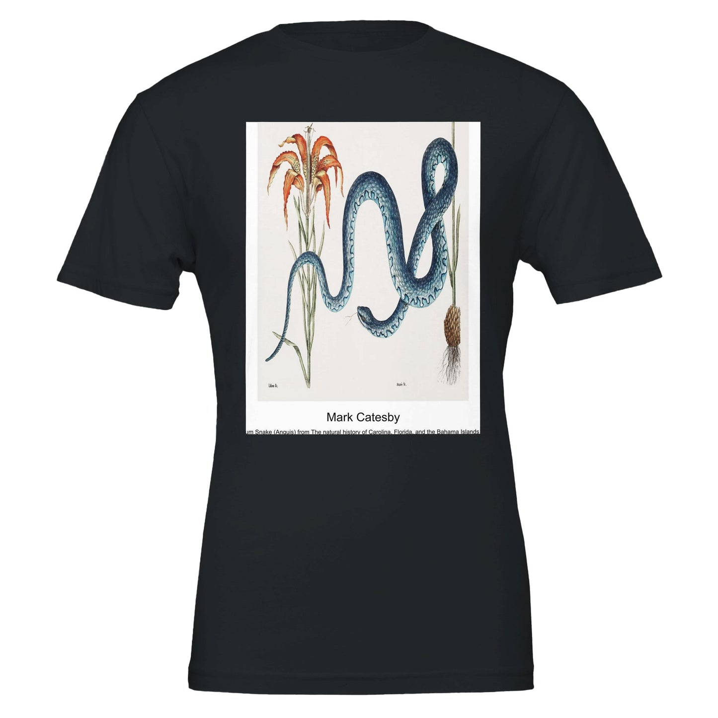 d658e1f6-56aa-4b98-b948-7e8669051094