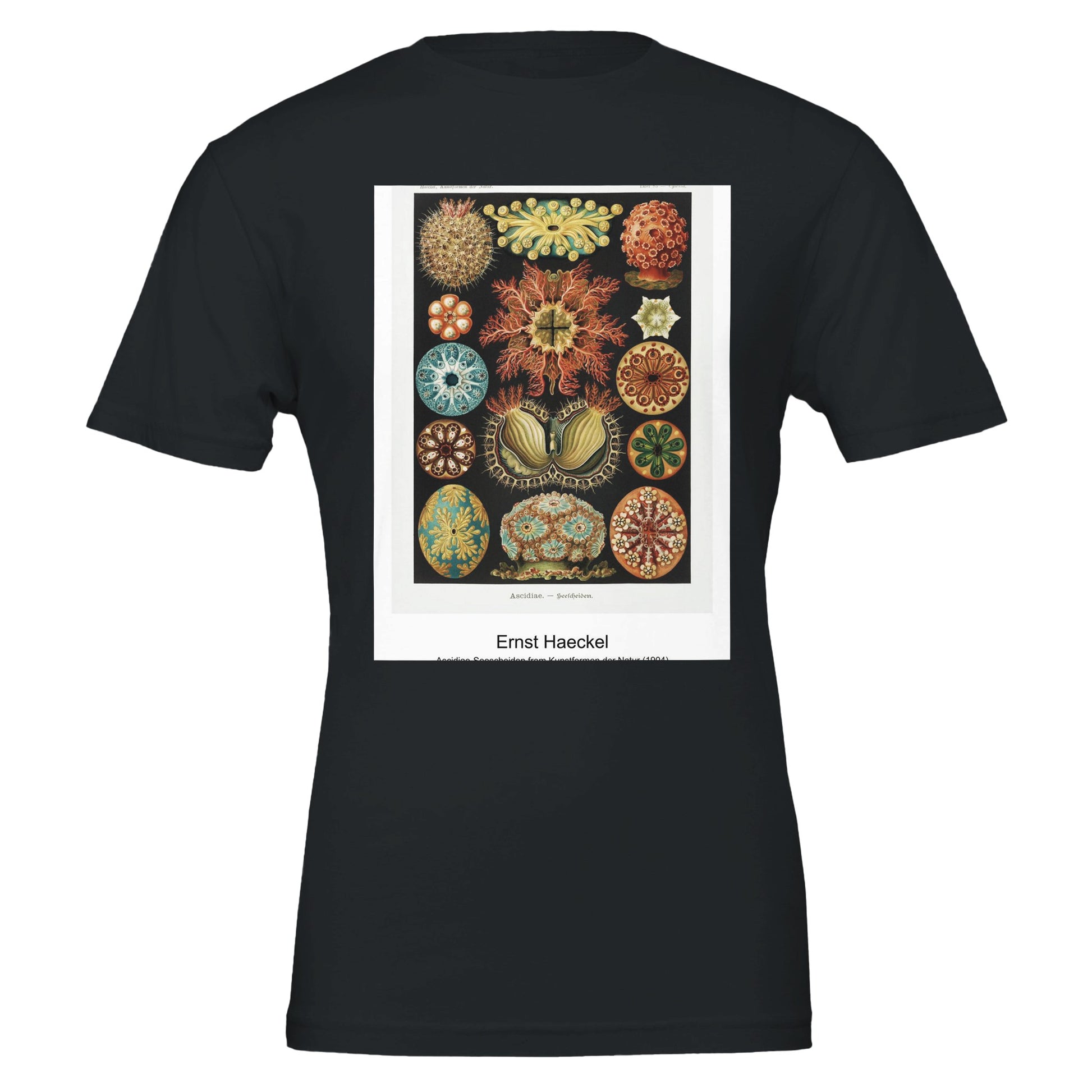 d6f05bf1-501e-4bbe-ac85-cf24099eecc3