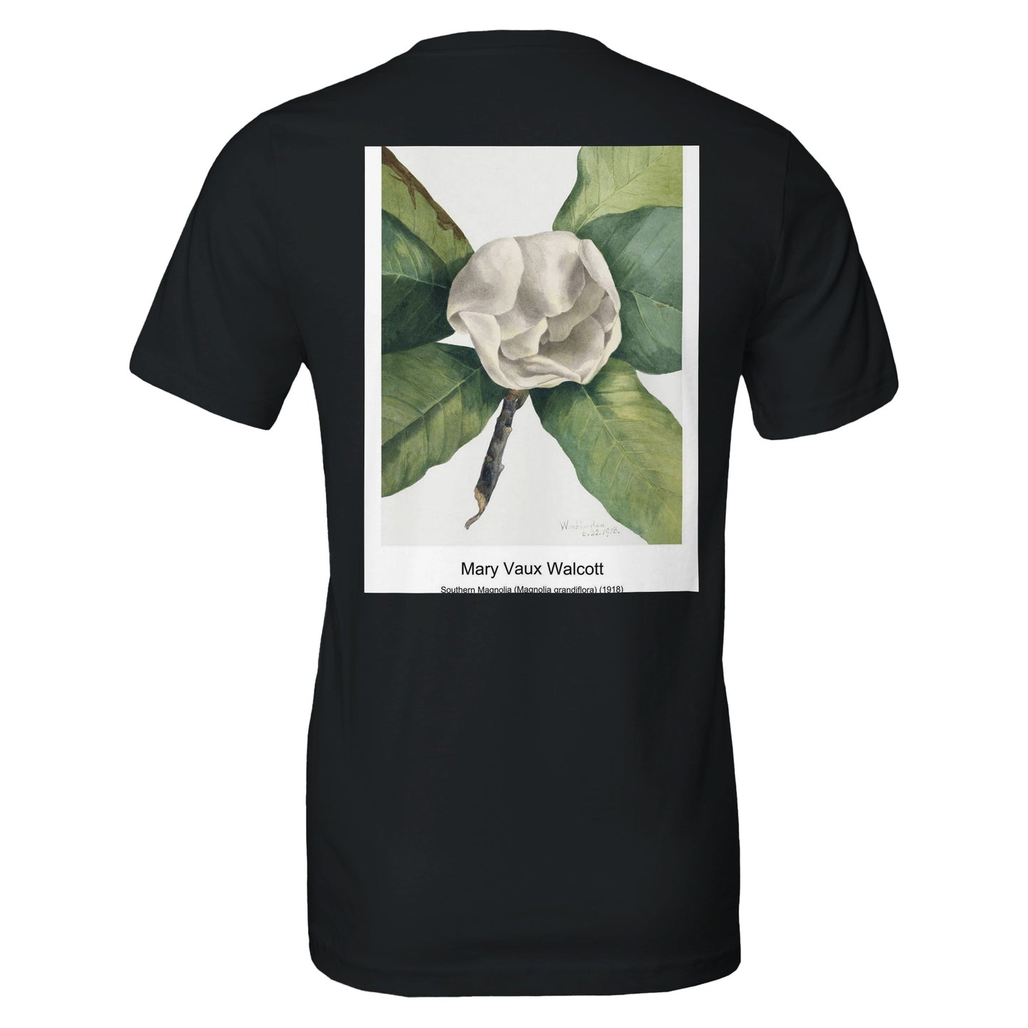 d7421a62-4688-4602-81ea-8043e0ecf0ed