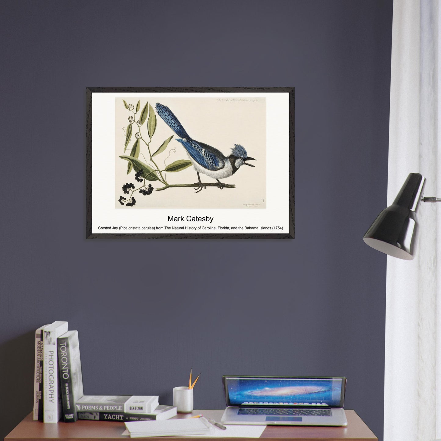 d78595cc-a766-4a20-9c66-61f0921303fb