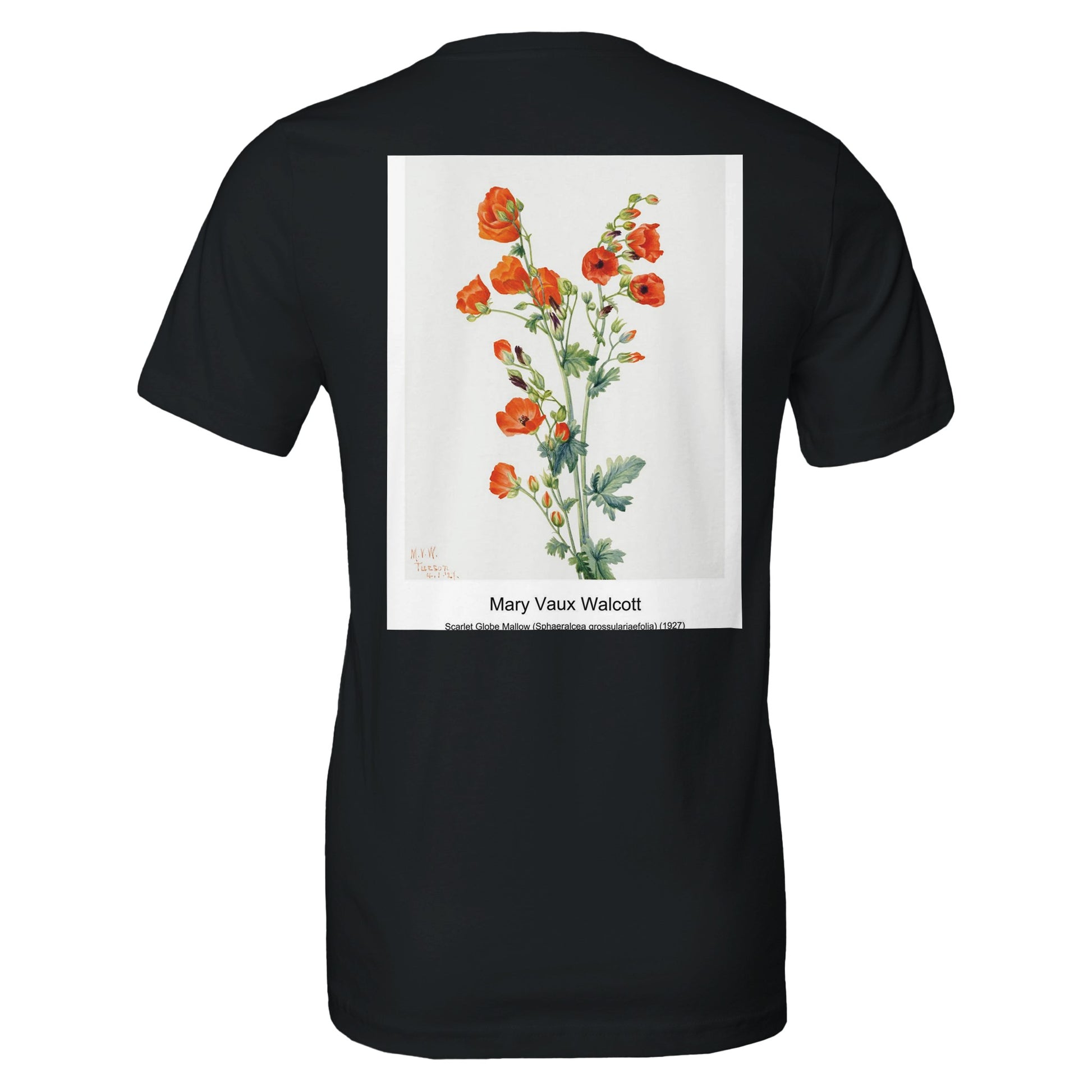 d7b2060b-abeb-494a-a846-2090a61f4108