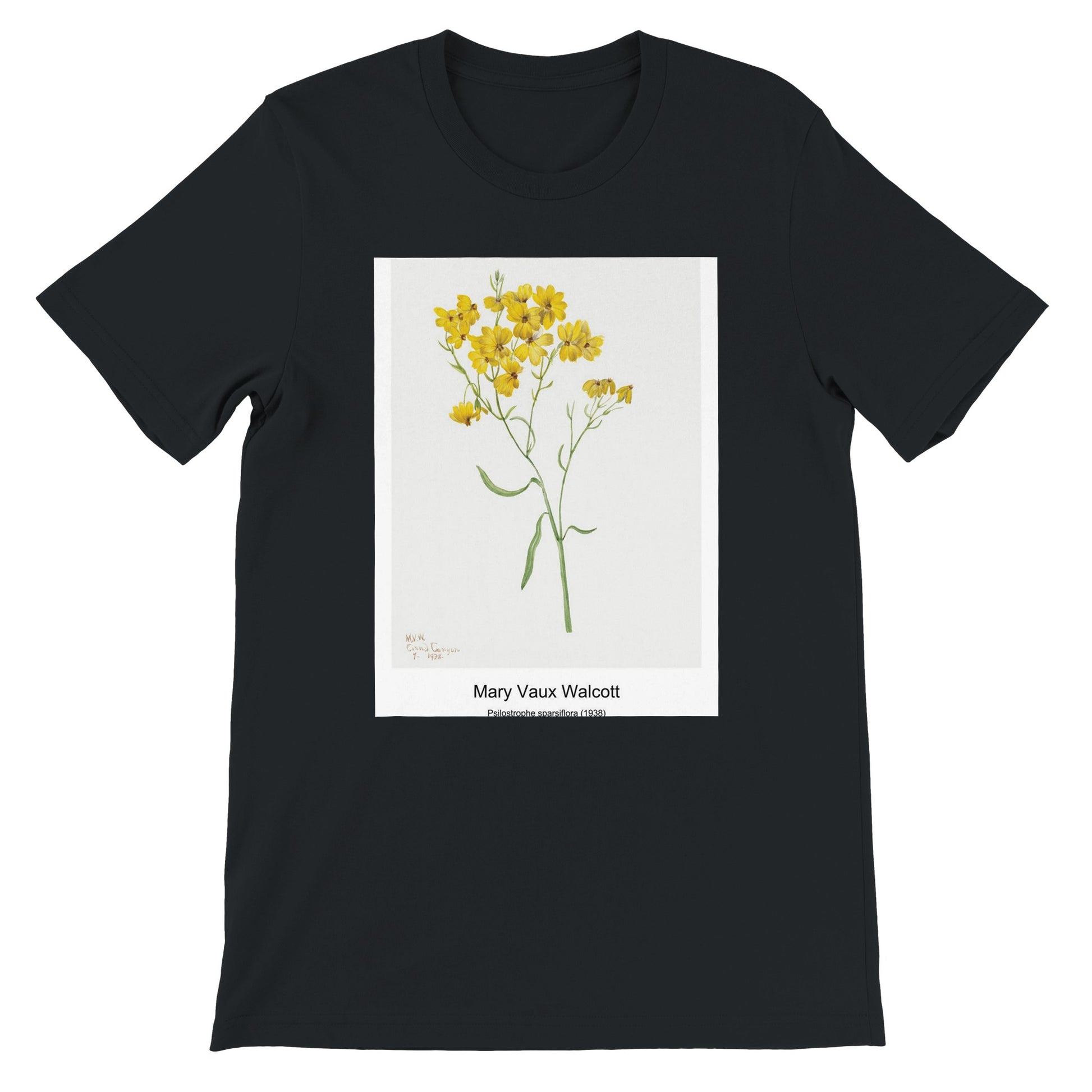 d7da0bf9-3a5a-482c-81e7-84b56394ad59