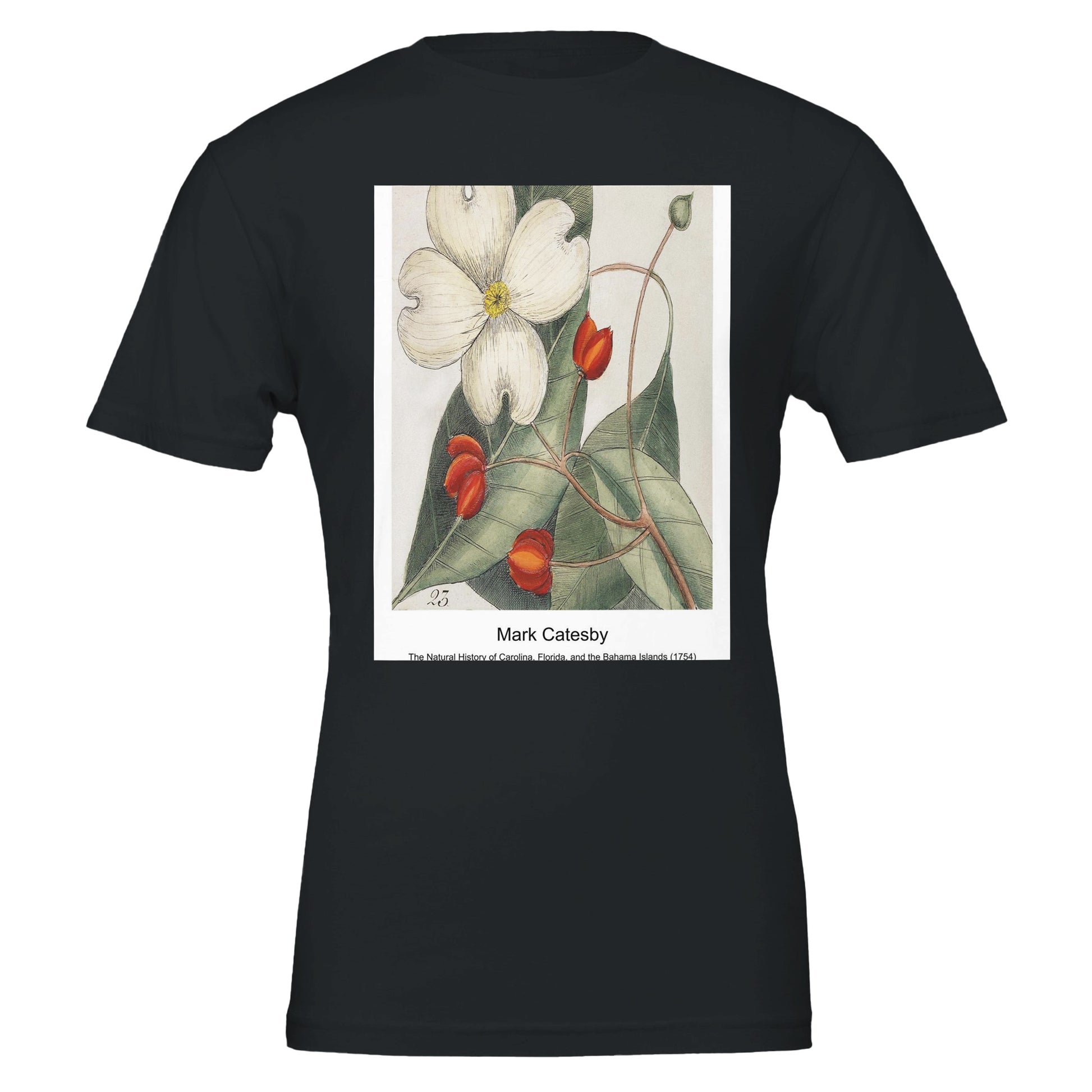 d855061c-fd25-498b-aa85-90acd719656c