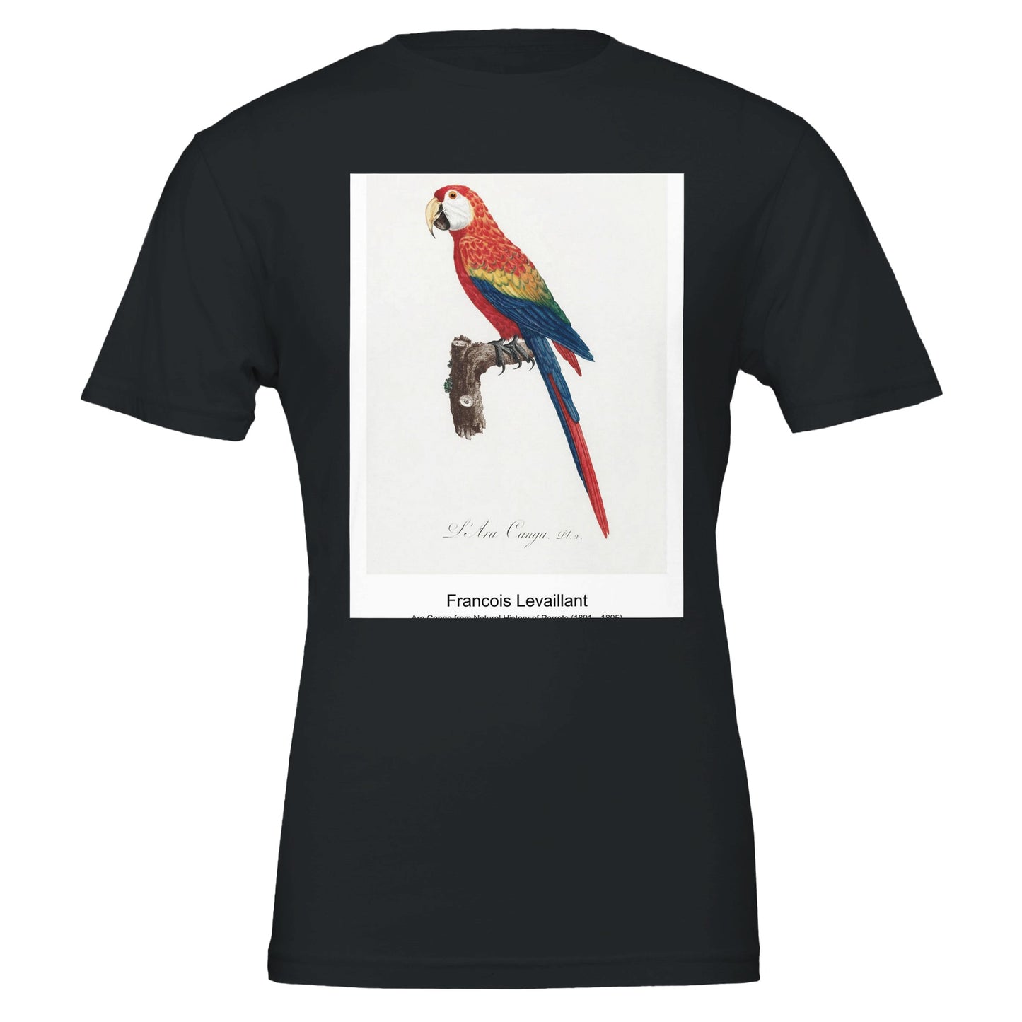 d87916d1-9182-426d-aeeb-7d04f317b2e9