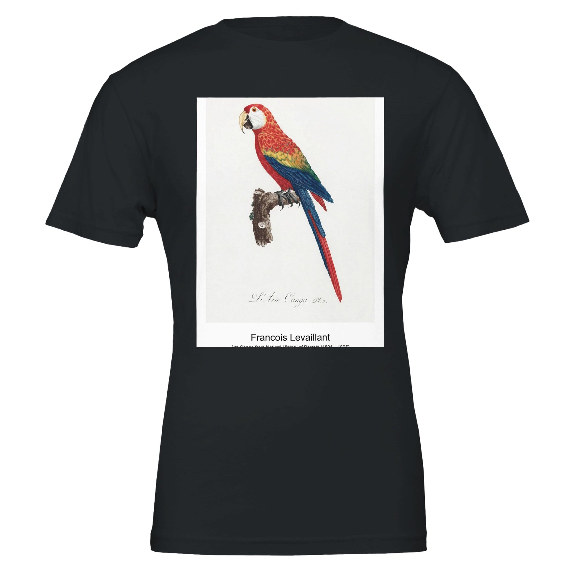 d87916d1-9182-426d-aeeb-7d04f317b2e9