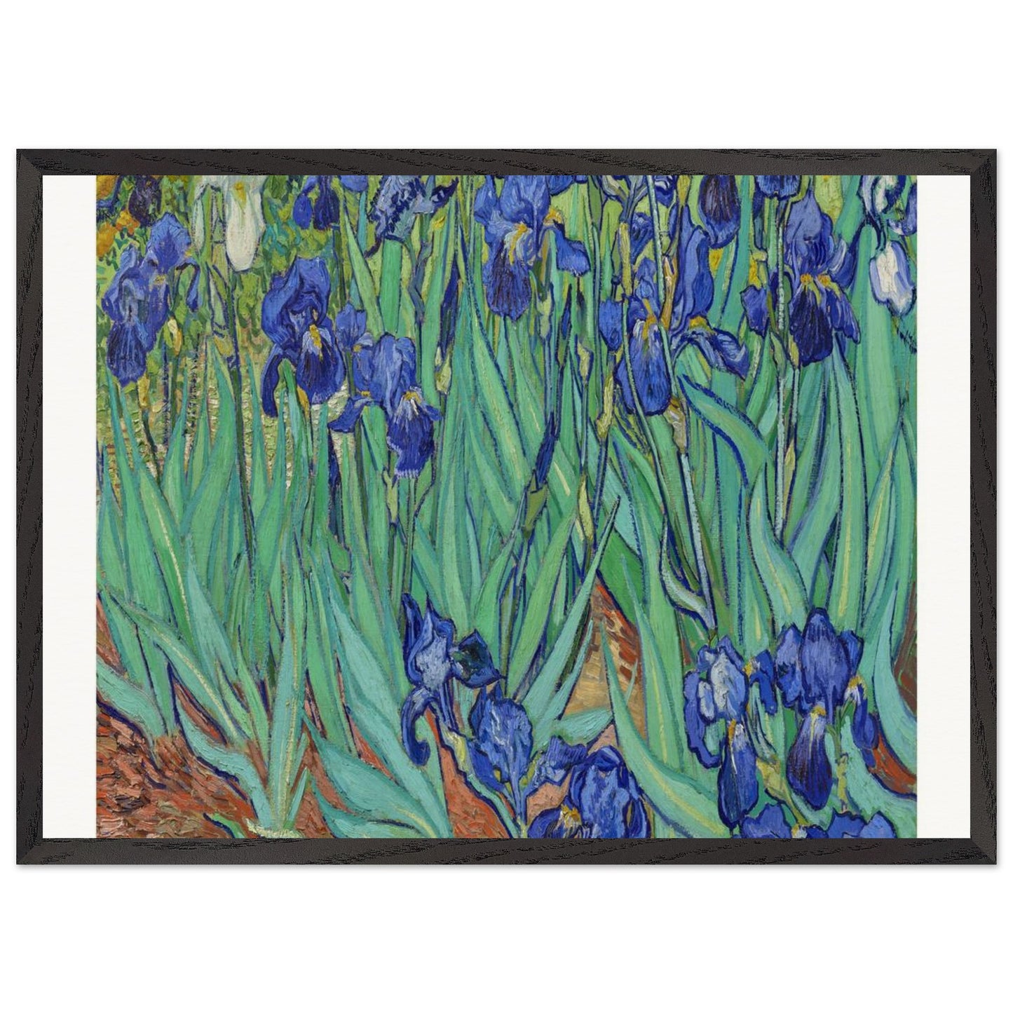 d8d5b78e-2aae-4c36-a241-ea005cf6254d