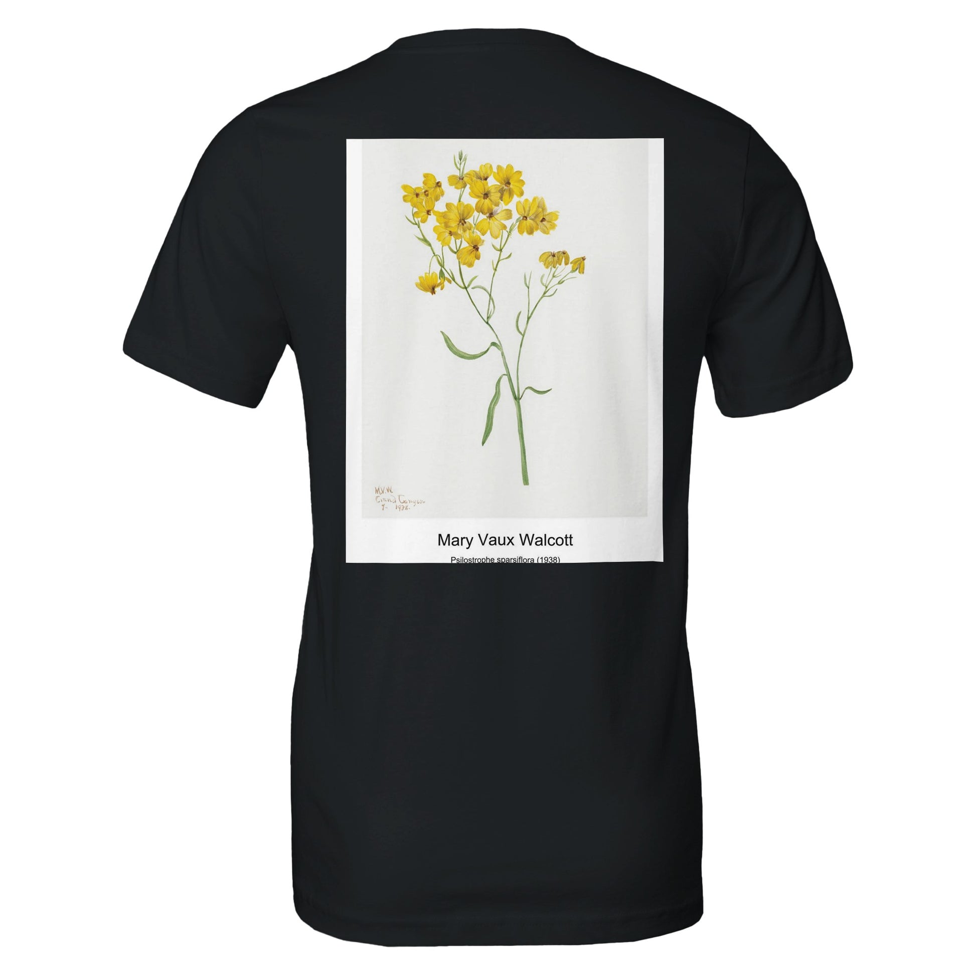 d9277307-365b-47df-91c2-f60a965ac908