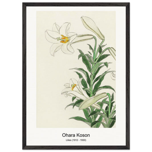 d964ef0e-6cfa-4778-9547-2bf4782bf88f