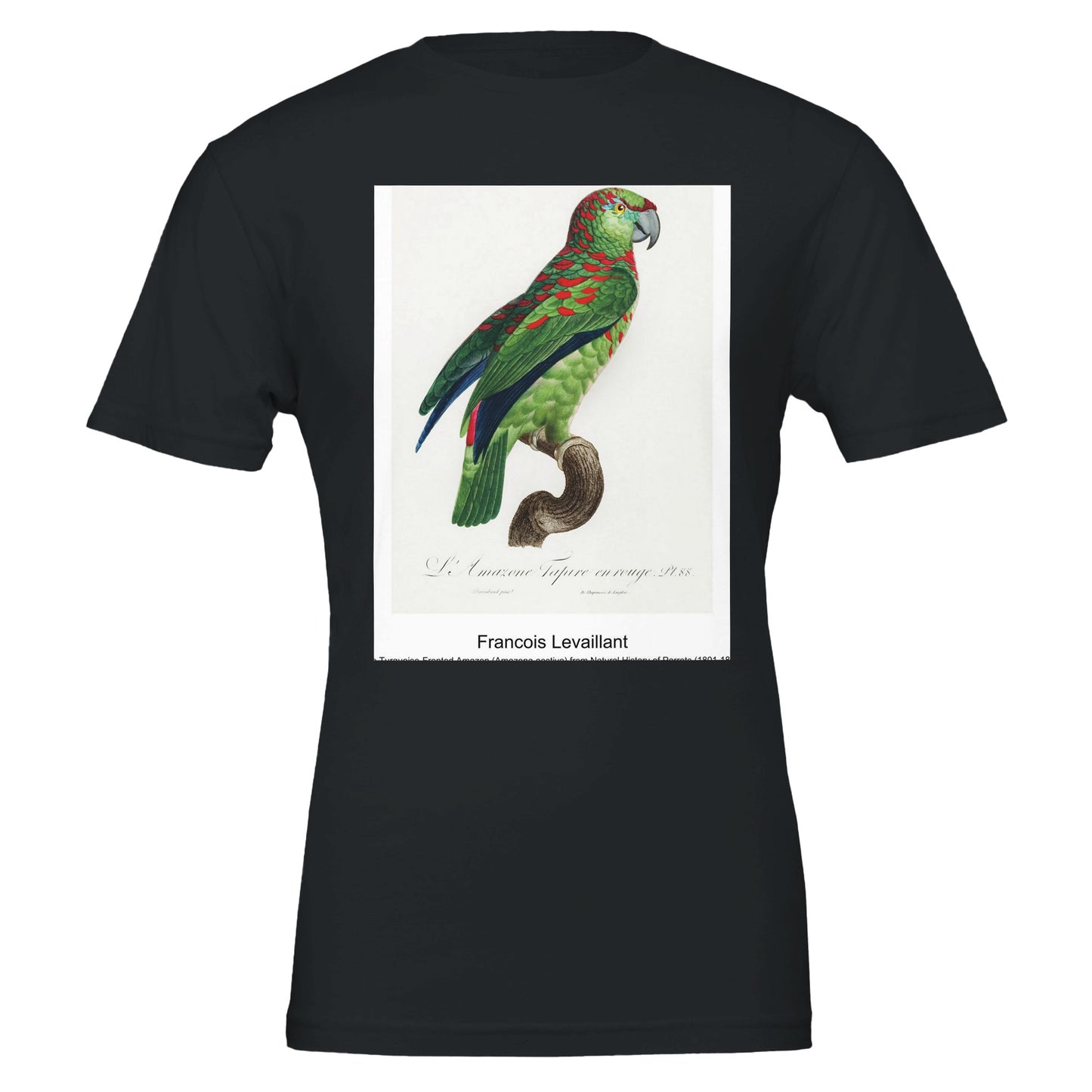 d9aa61ca-4afa-46c4-9665-5c1e05102542