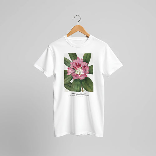 Psilostrophe sparsiflora (1938) by Mary Vaux Walcott. Custom Print on a 100% Airlume Combed and Ring-Spun Cotton Unisex Crewneck T-shirt Original Aspect Ratio