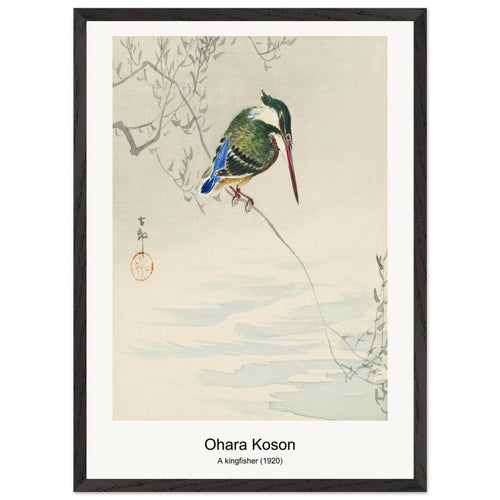 Blooming lotus flowers (1920 - 1930) by Ohara Koson. Archival Print on Museum Quality Matte Paper. Premium Wood Framed Wall Art. Optimised Aspect Ratio.