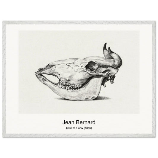 db7f386b-fe5a-4e0f-b64c-e35fa7b6eaaa