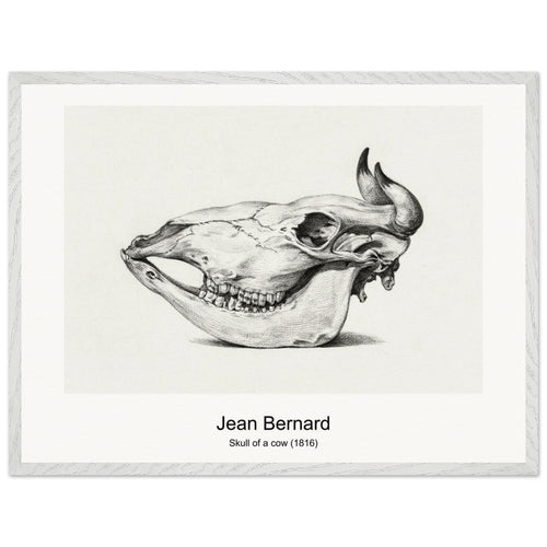 Skull of a cow (1816) by Jean Bernard. Archival Print on Museum Quality Matte Paper. Premium Wood Framed Wall Art. Original Aspect Ratio