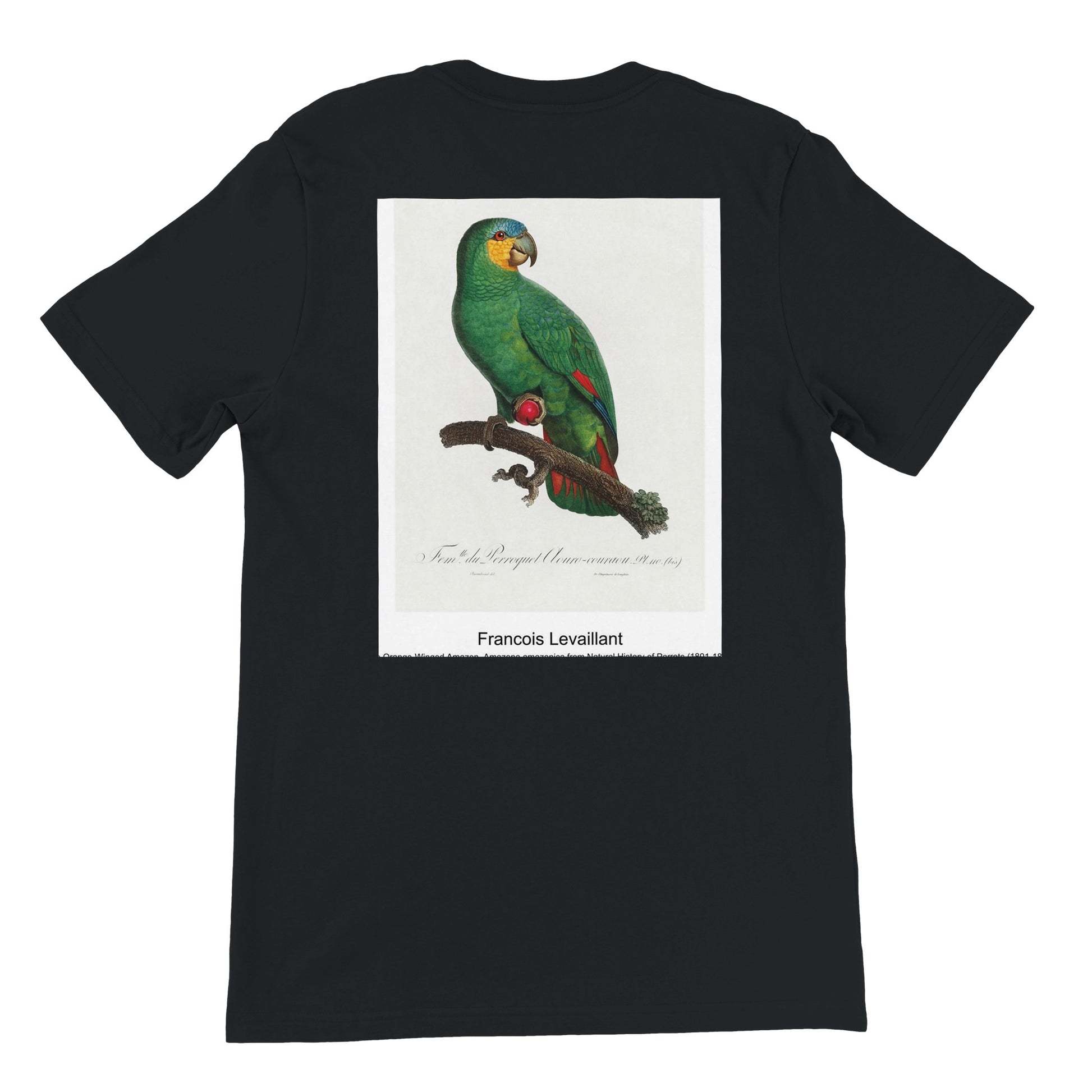 dbaec166-7ba4-429c-9918-f09a6f320234