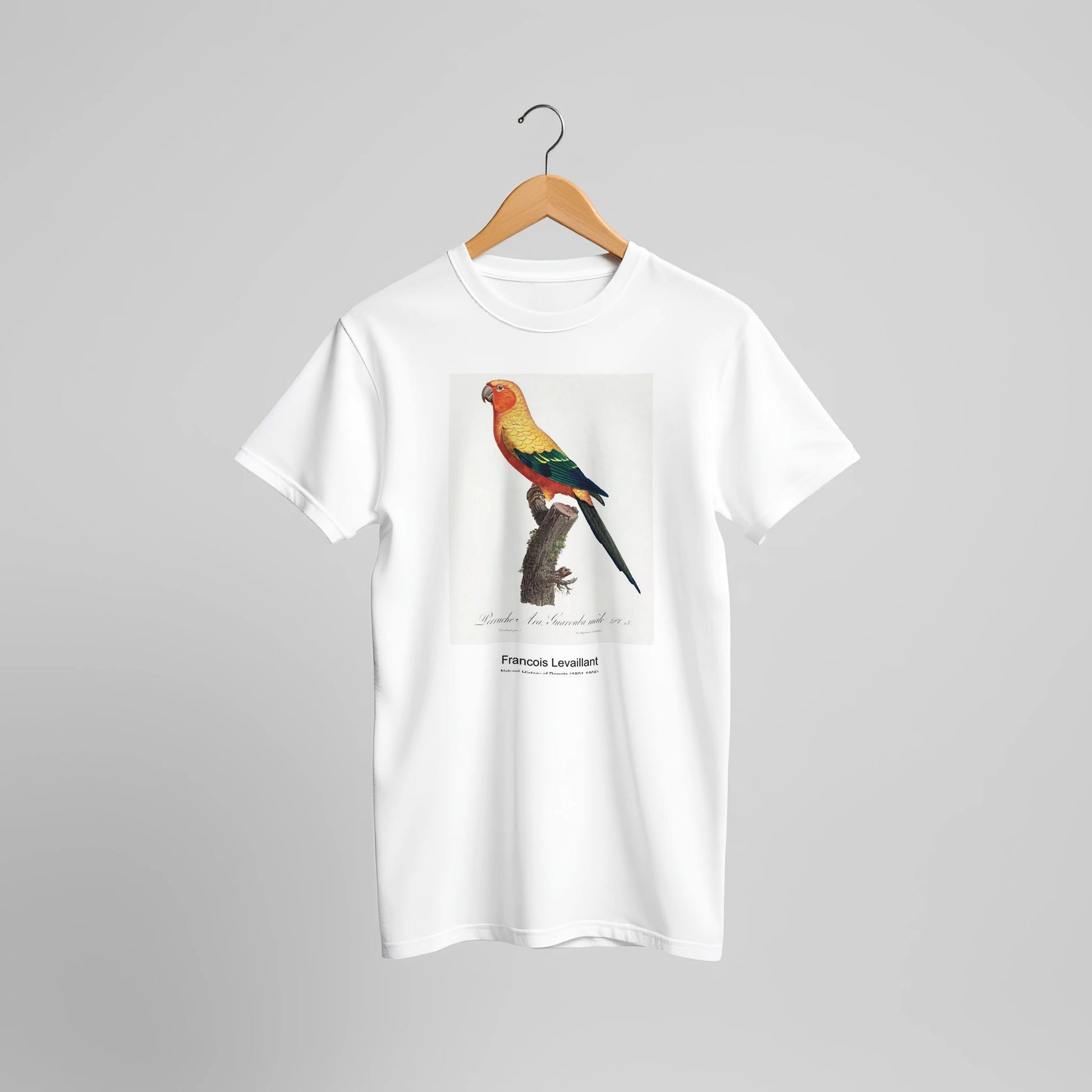 dbe64cd8-ee77-4a69-9f28-2a64406f01ae