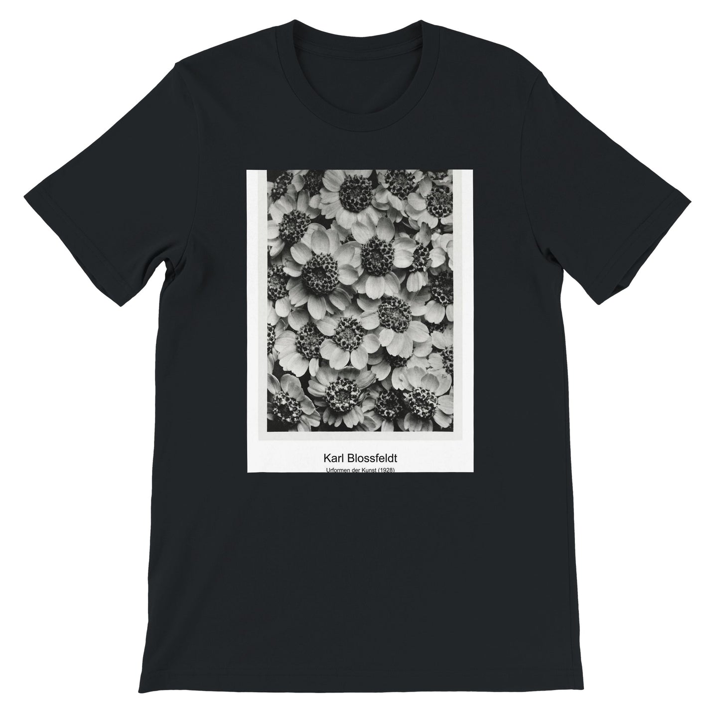 ddb03a40-e632-4fb5-9883-d8caac620943