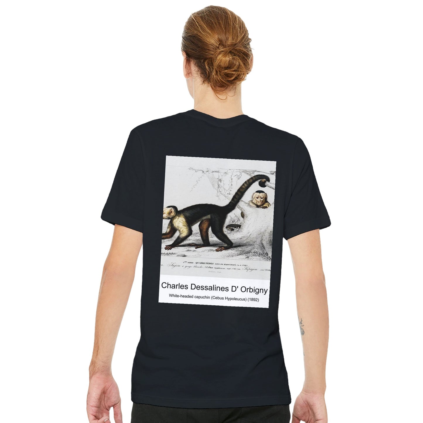 ddb06295-eda0-40da-a767-0e7b63222543