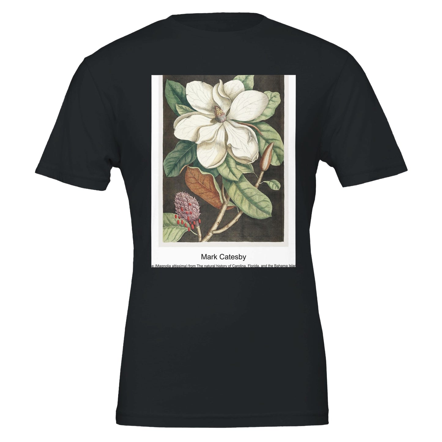 ddf51598-3a8e-4a8e-b930-46ea05f8c737