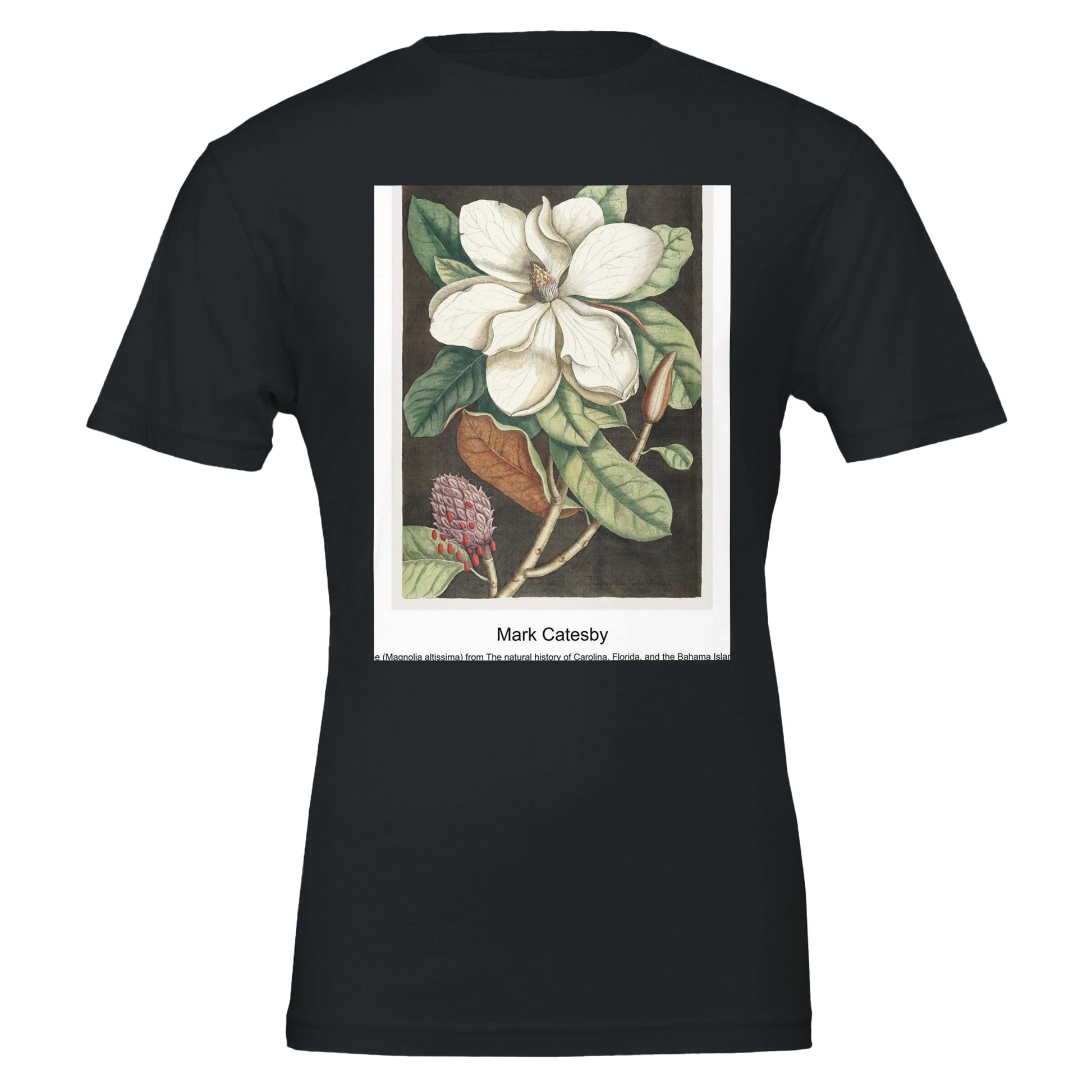 ddf51598-3a8e-4a8e-b930-46ea05f8c737