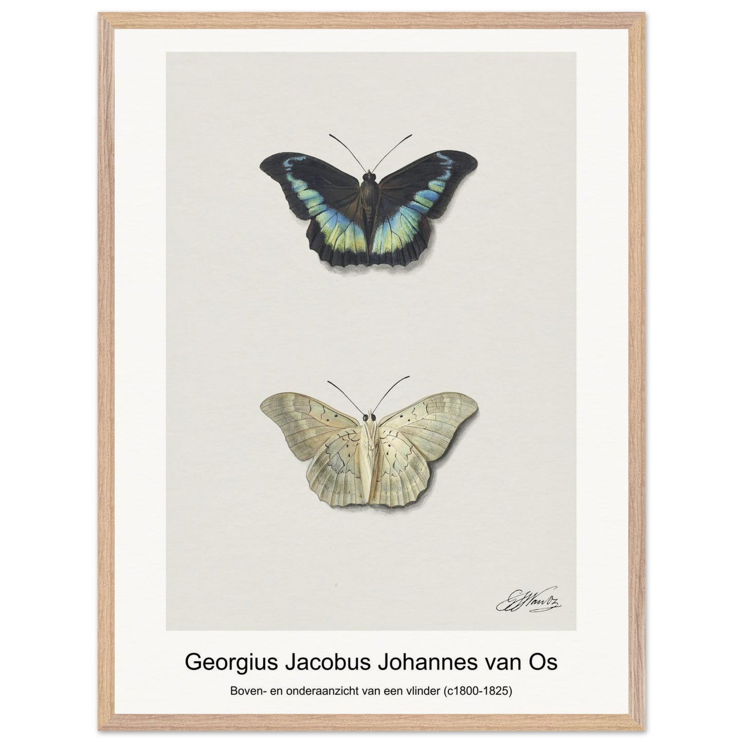 ddfdb040-4be5-4ede-9813-c310d1997f82