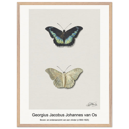 ddfdb040-4be5-4ede-9813-c310d1997f82