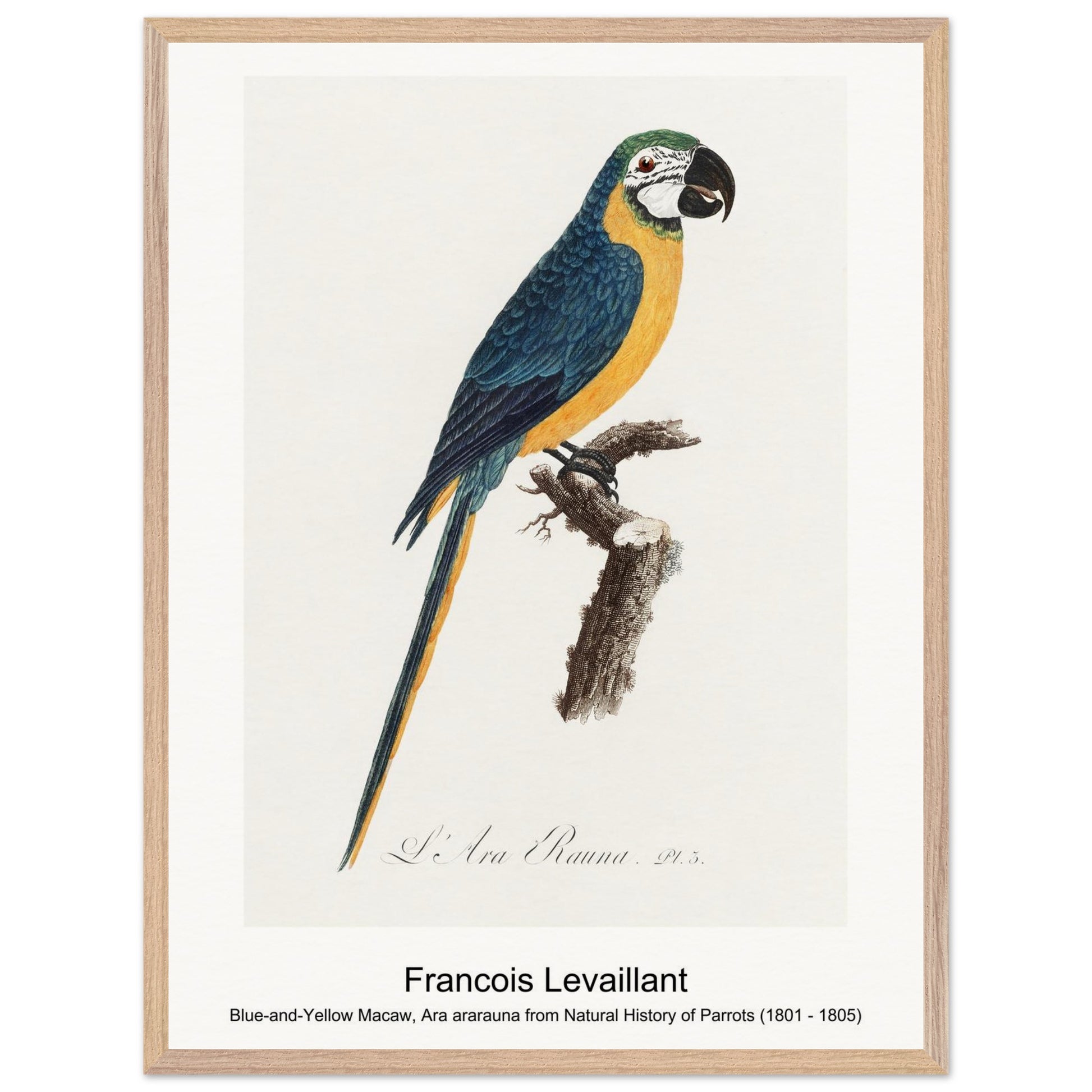 deac1c6f-6458-4ab8-a8f7-84192dbee24d