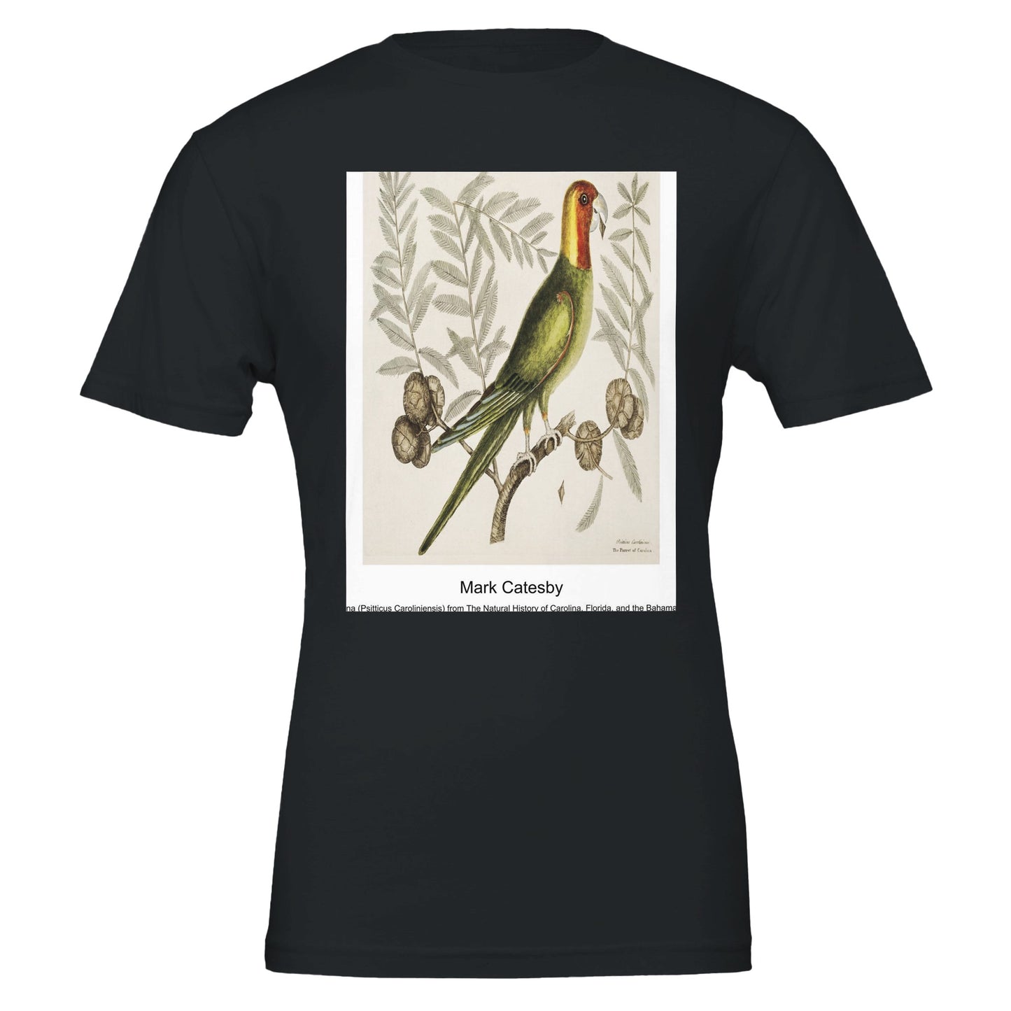 df0b7e40-d1a7-49bf-8643-2946fb3a4493