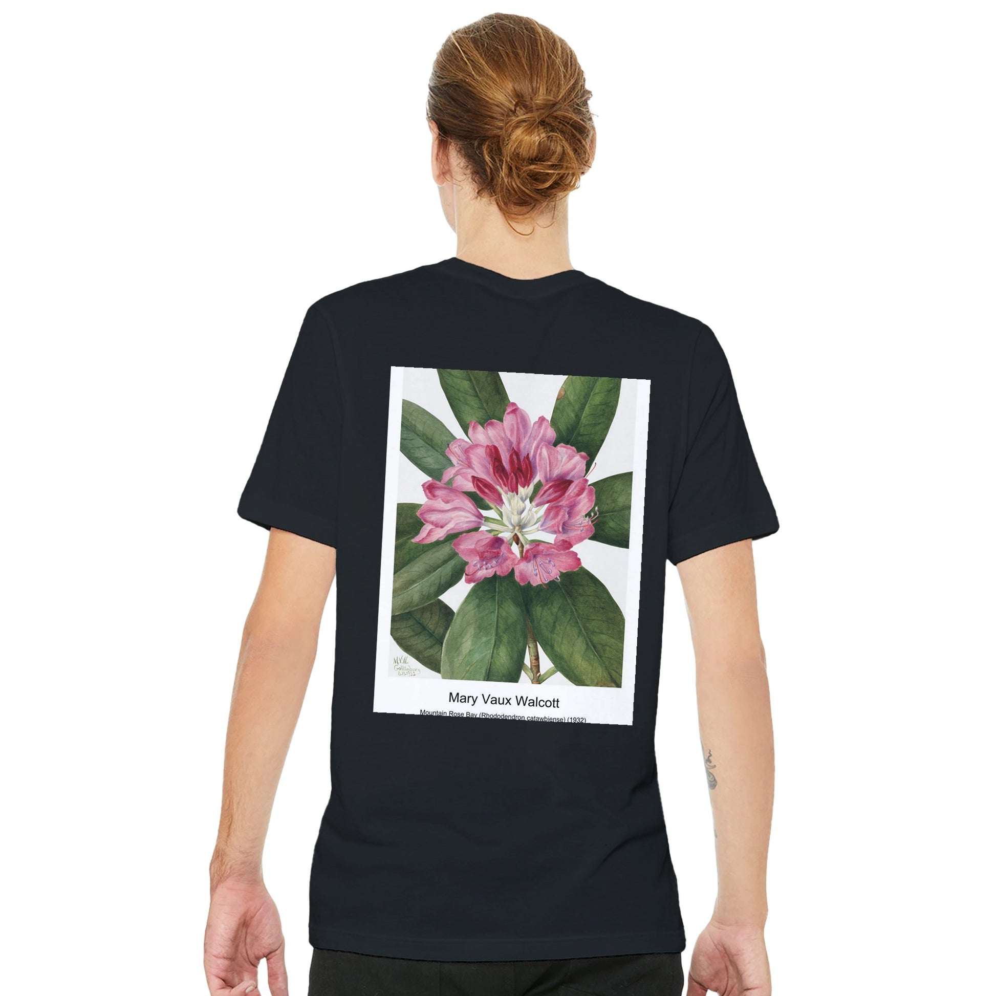 dfbb895a-ad0f-453d-9af1-efd50f0444ba