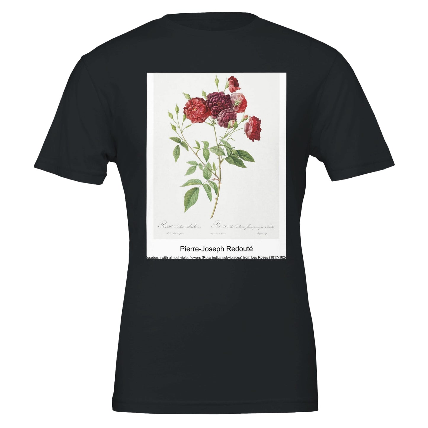 dfc53668-fd74-48d3-96cd-6a6e3880de86