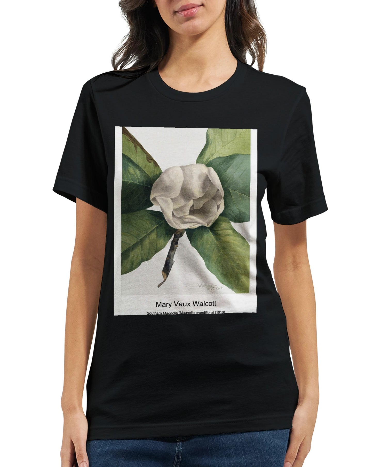 dfde356b-c96b-44ea-8ecf-257adc71931c