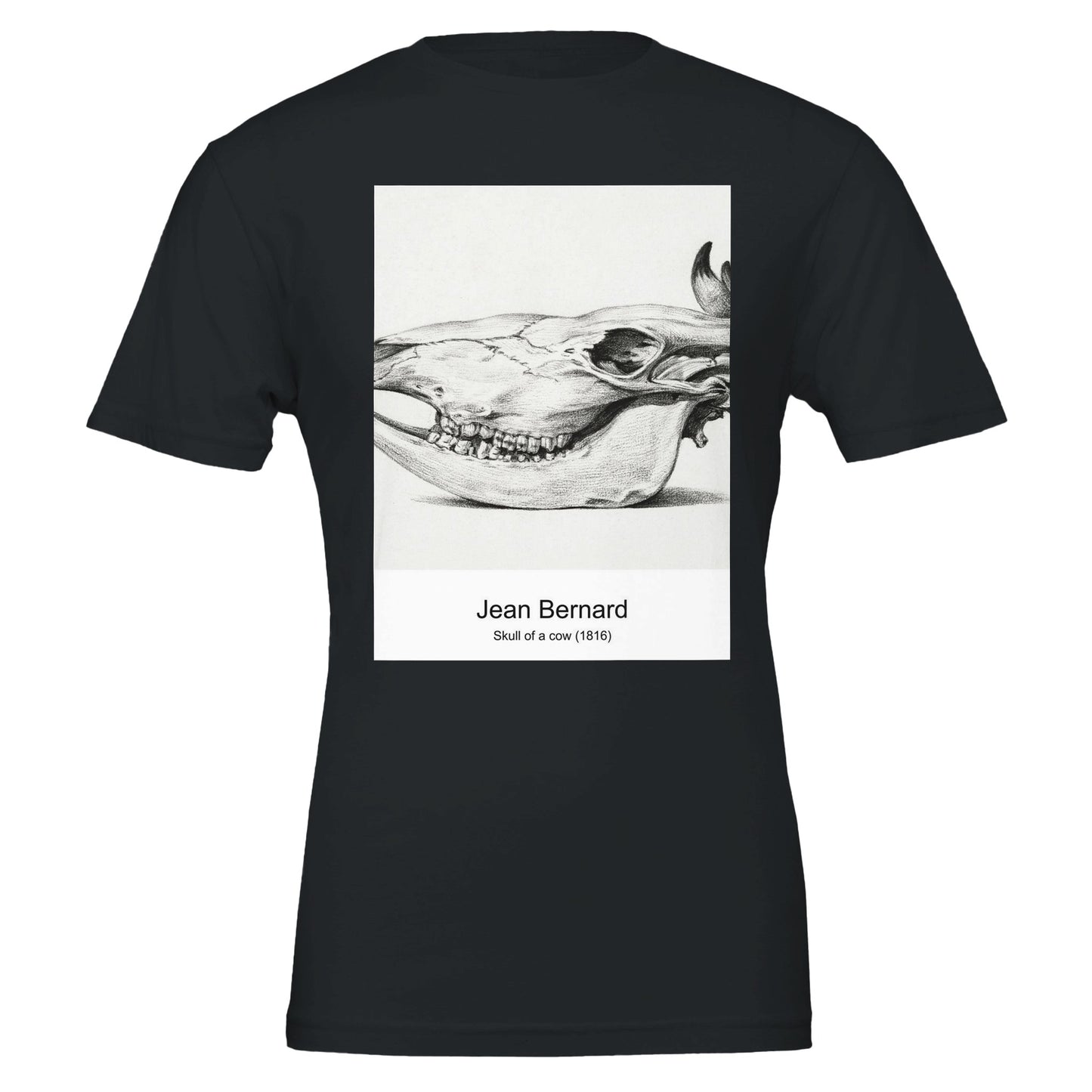 e083b5f6-f4a5-41cc-9d01-08511b52344b