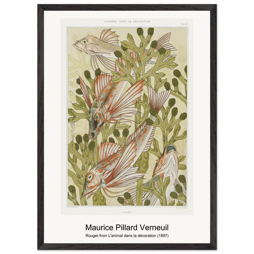 Rouget from L'animal dans la décoration (1897) by Maurice Pillard Verneuil. Archival Print on Museum Quality Matte Paper. Premium Wood Framed Wall Art. Original Aspect Ratio