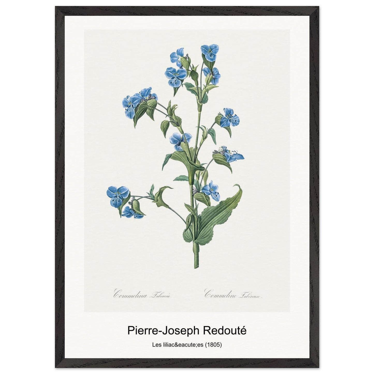 e1608fc6-1481-4205-891a-997e0f0d0362