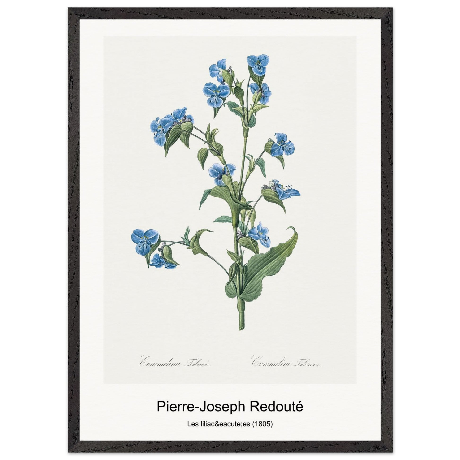 e1608fc6-1481-4205-891a-997e0f0d0362