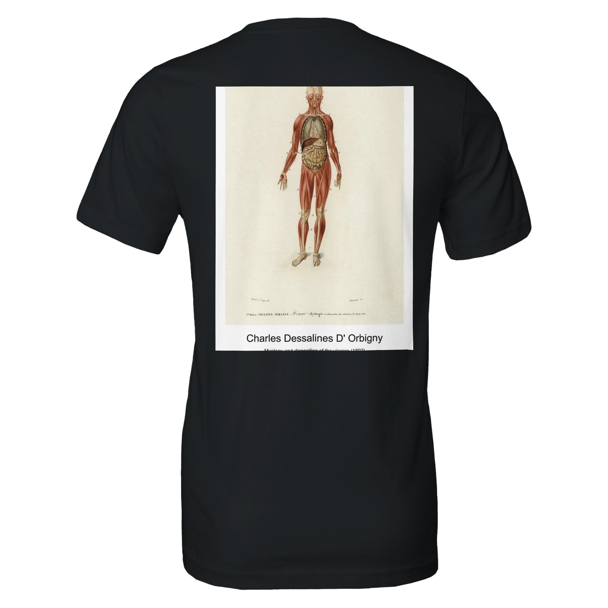 e1f1a7c6-ebc3-4f66-84b6-95a063cee6bf