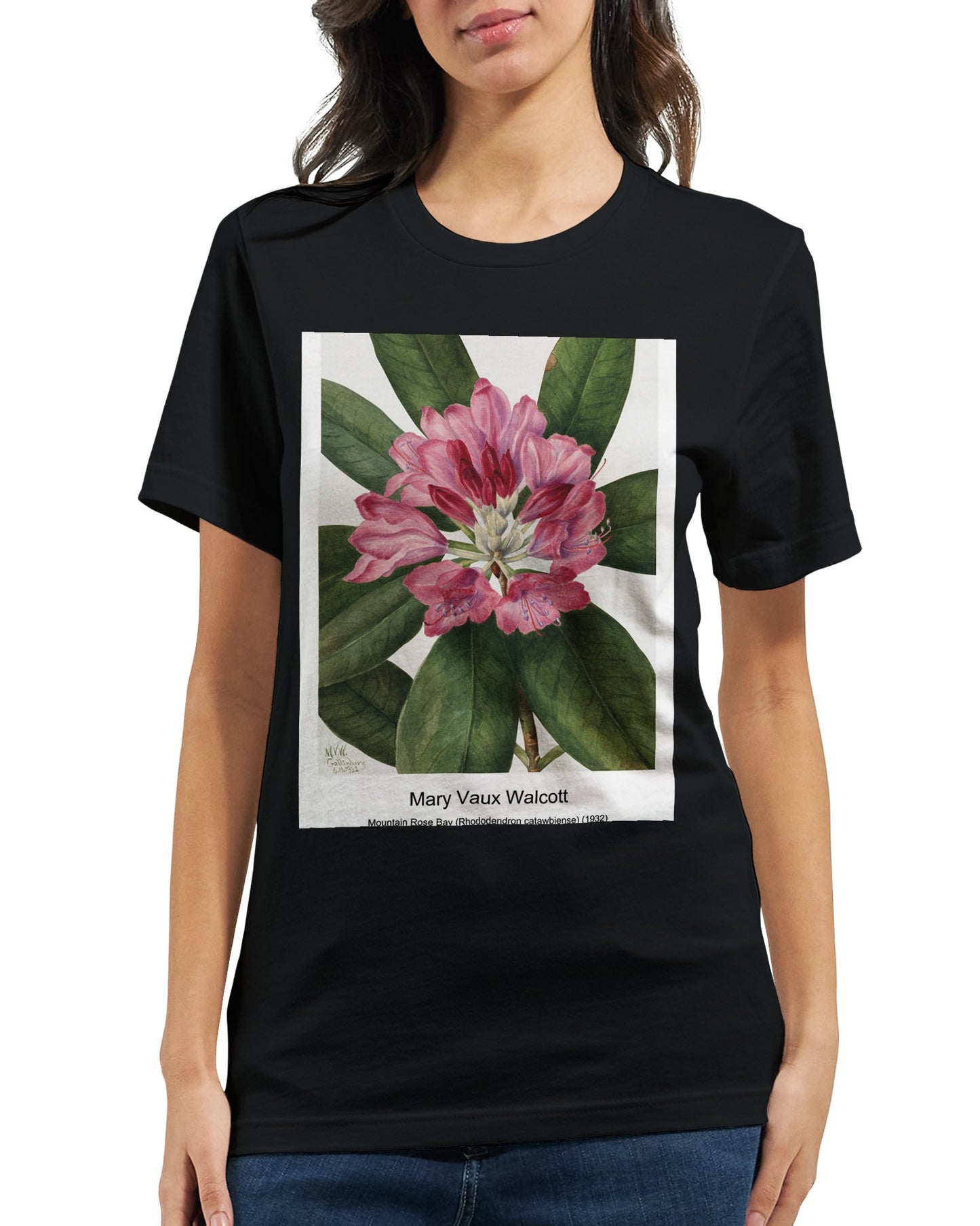 e2997ec9-0501-443e-848a-cdef06f928bf