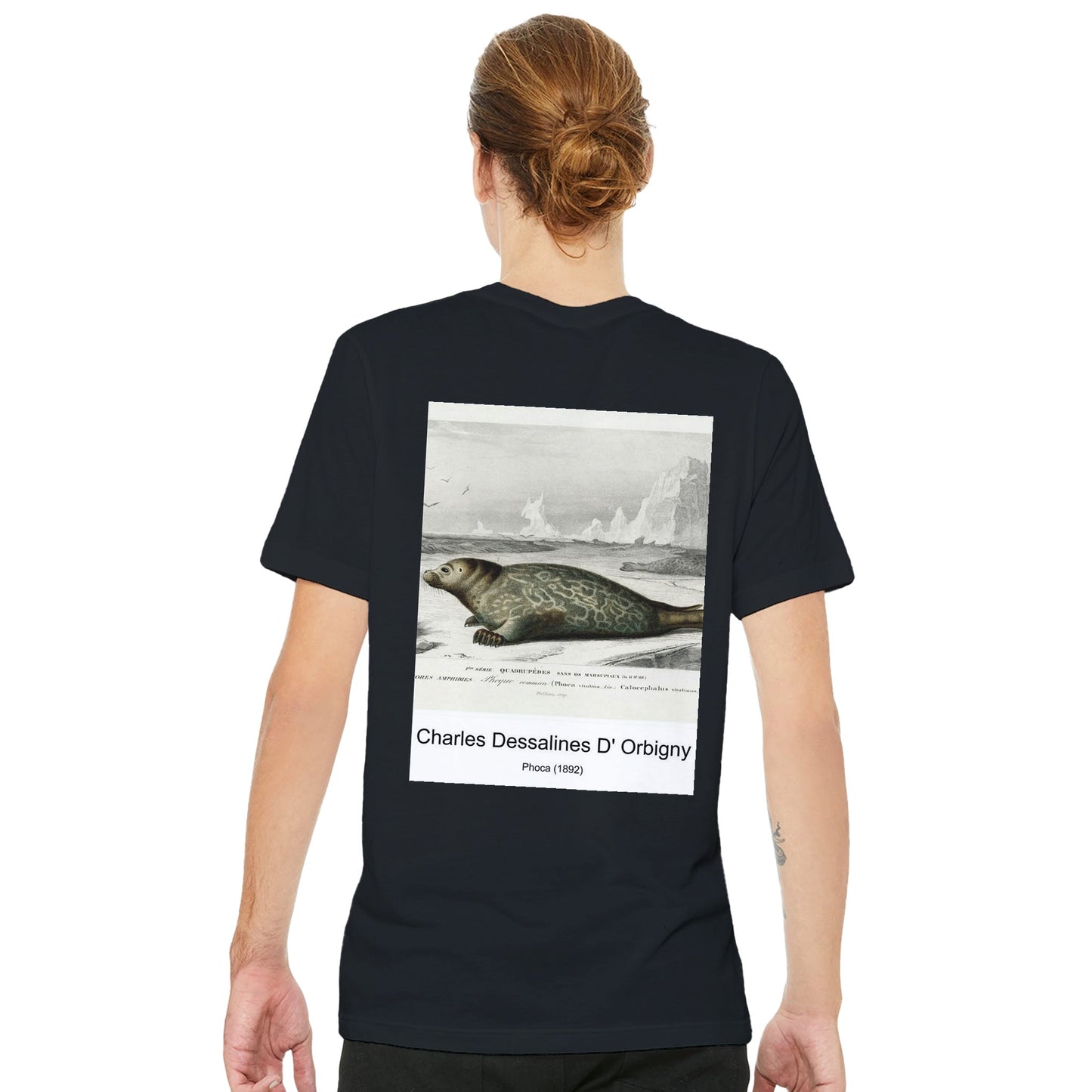 e2abd747-5c2e-47d9-bb9f-c654459f94a3