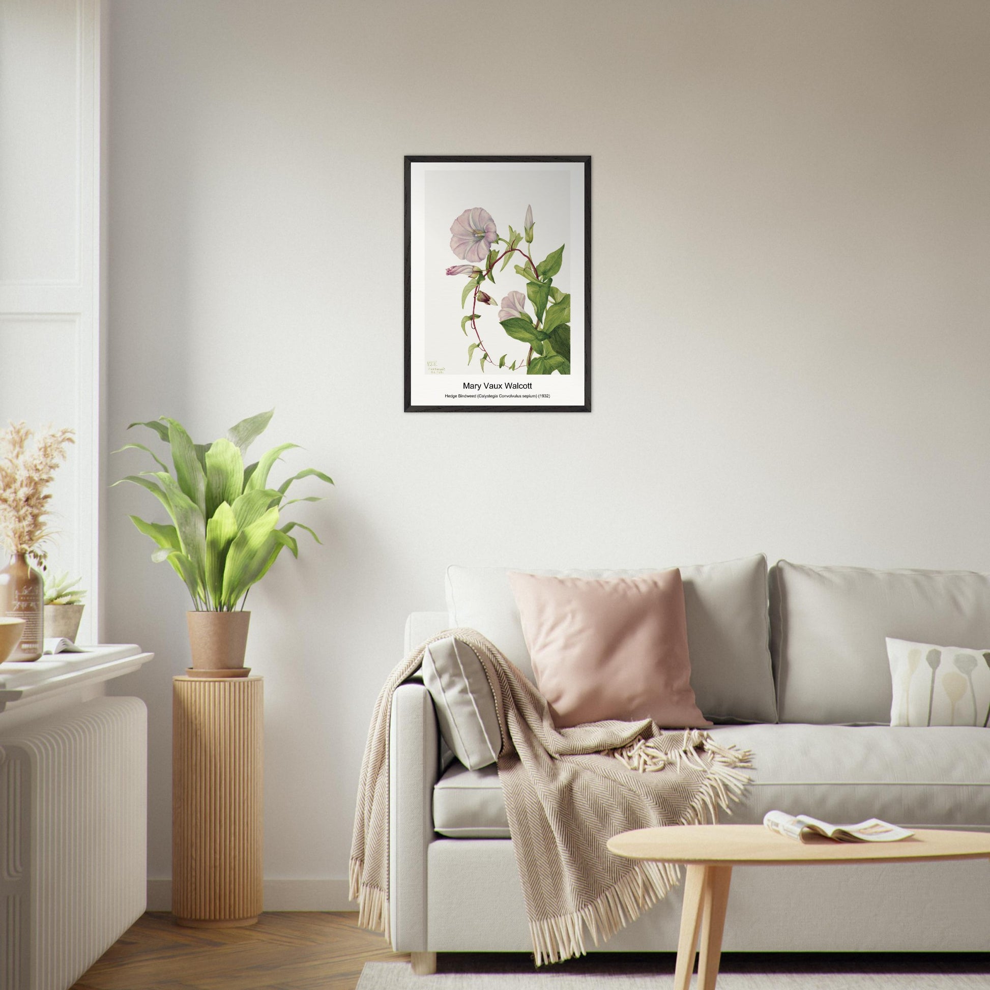 e2dd9b1d-69c8-4fc2-bb93-442608f1a644