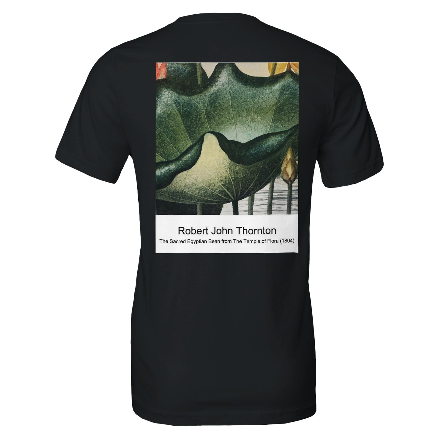 e3351f27-5d06-4e1a-86ad-0ce14d77c96b