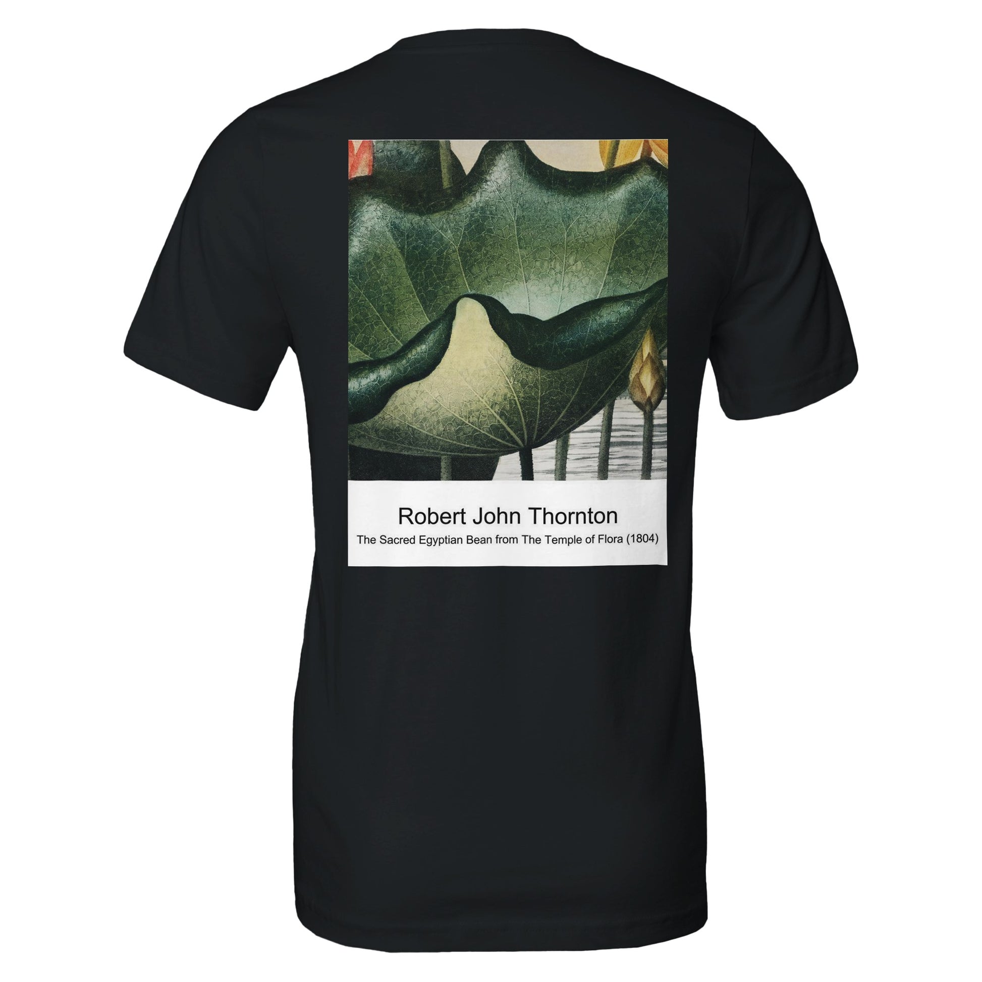 e3351f27-5d06-4e1a-86ad-0ce14d77c96b