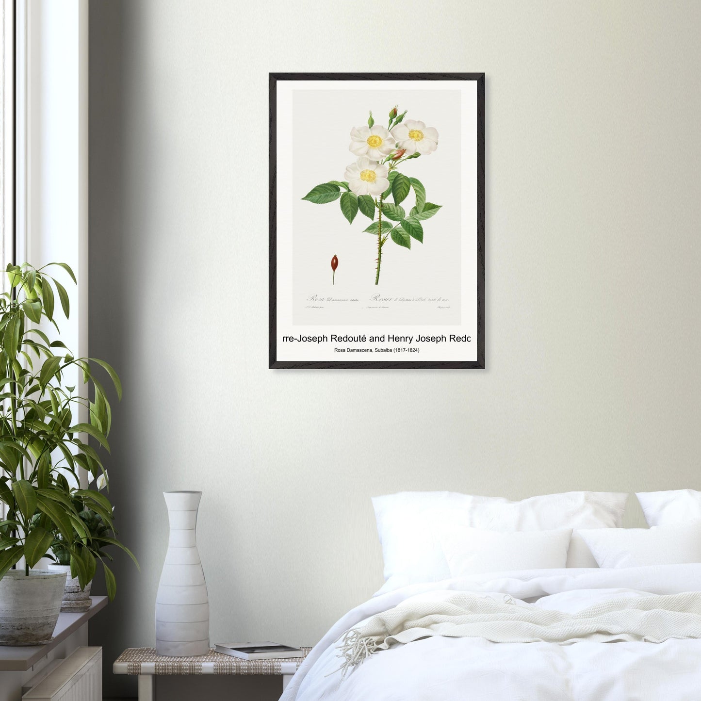 e443730d-6858-43f2-b58c-3aa8e4ead6fb