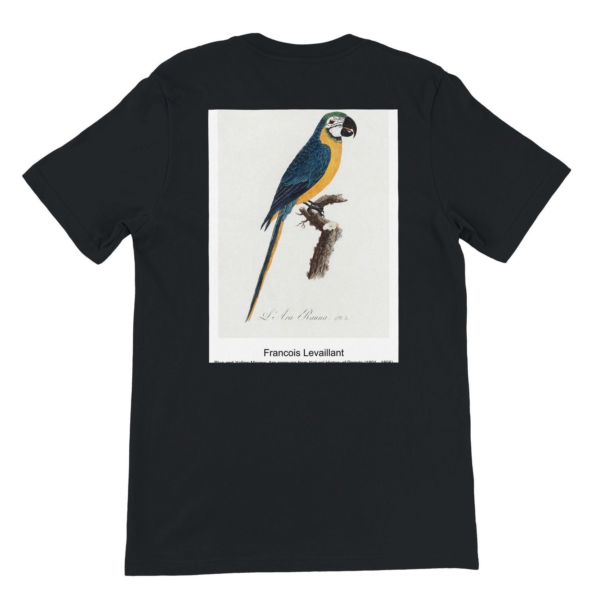 e5411fcc-1a86-4ec9-9286-f14b46da0e94