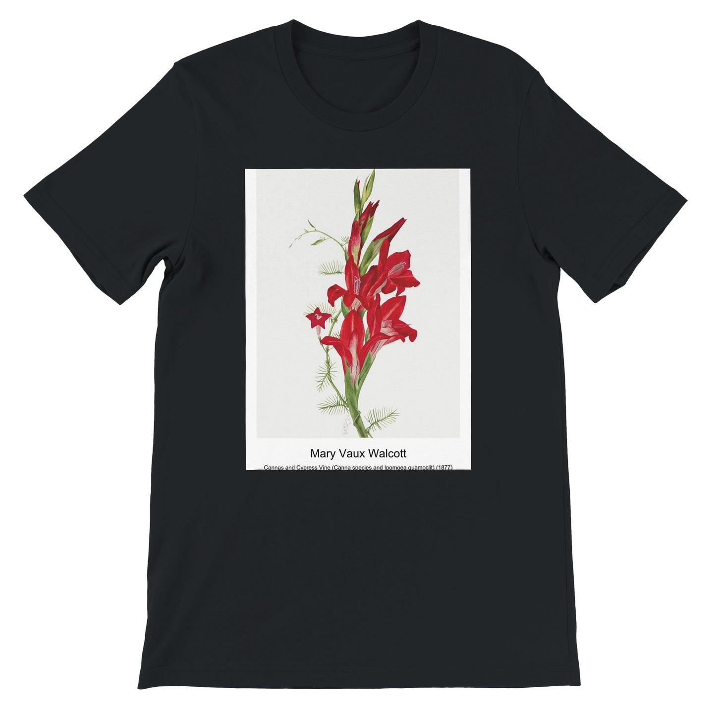 e5733e8c-c263-4967-9fbe-7755fb76d877