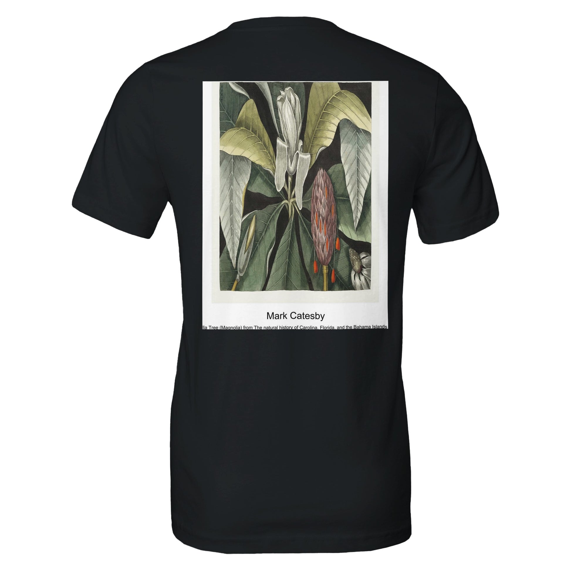 e5e6c43a-0879-4643-b82f-fb1daac535c8