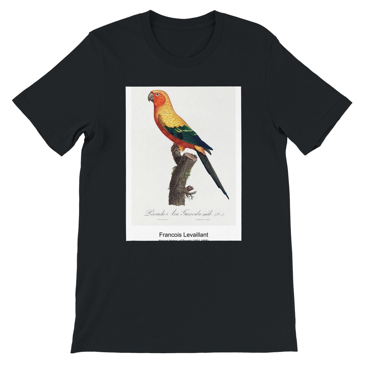 e702095a-c824-4ceb-83ee-995dd3631c79