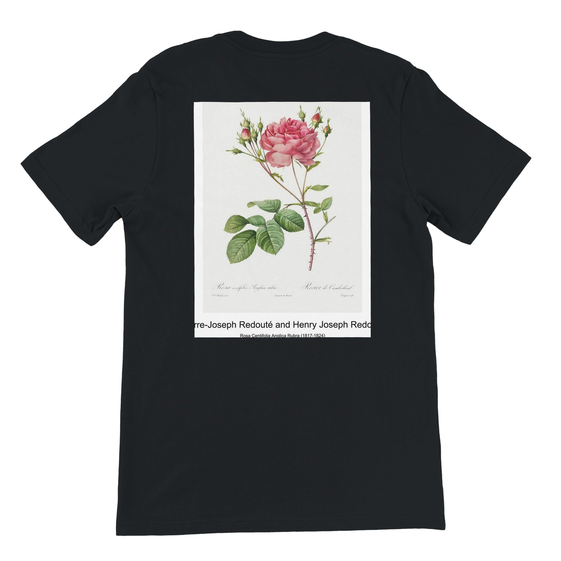 e7f732e6-4500-4db9-a23f-1c8ba2501373