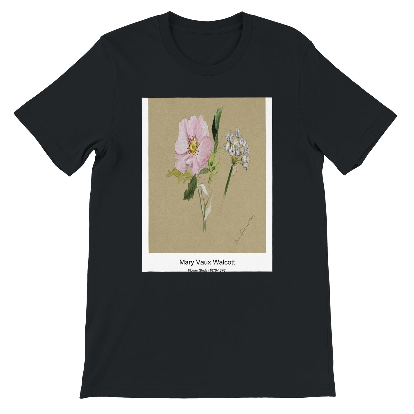 e82e56b0-7ee9-4d17-a1b2-4fc4f06920df