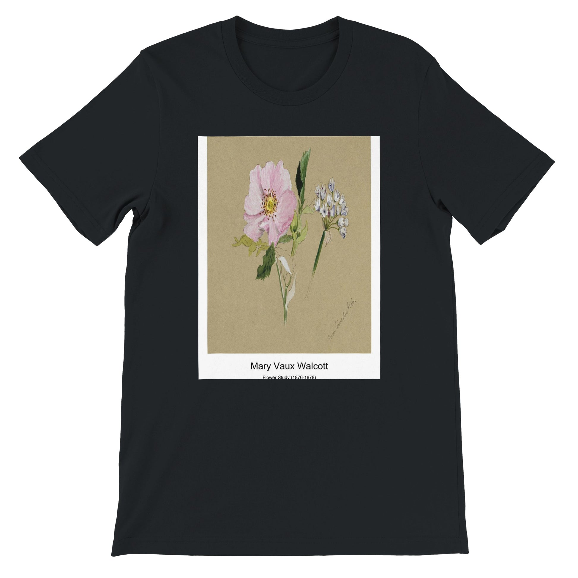 e82e56b0-7ee9-4d17-a1b2-4fc4f06920df